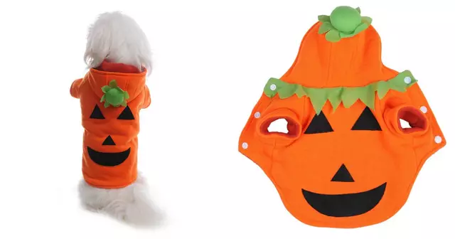 costume-citrouille-chien