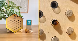 hotel-insectes-a-accrocher