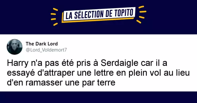 une serdaigle