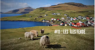 feroe