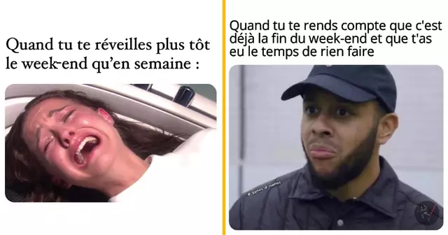 top memes week end