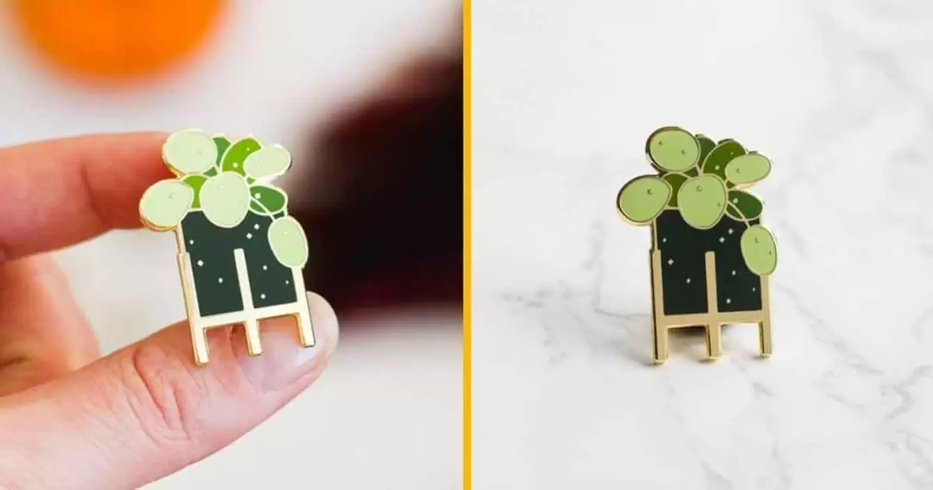 pins-pilea-pot