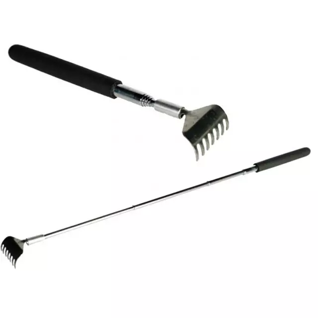 gratte-dos-telescopique