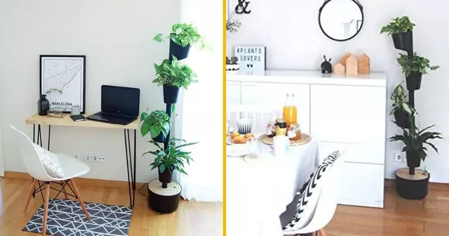 jardin-vertical-interieur-intelligent