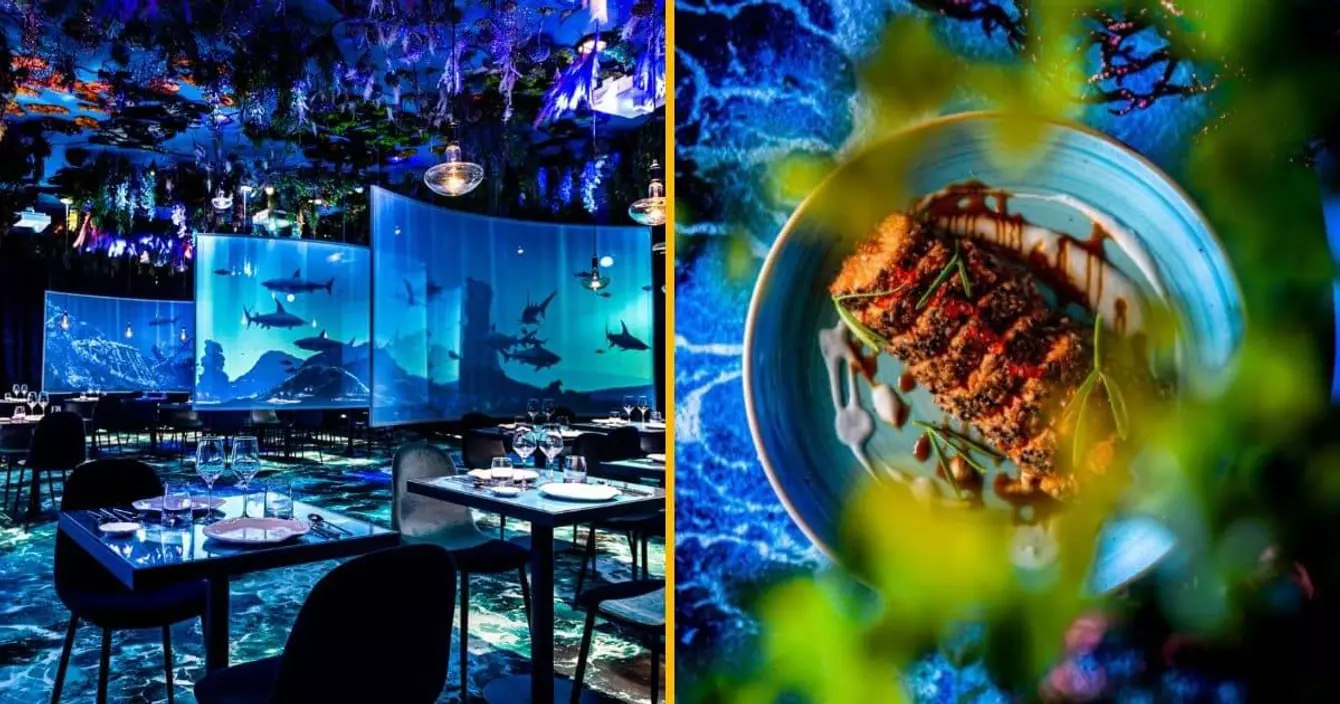 ephemera-restaurant-immersif-paris