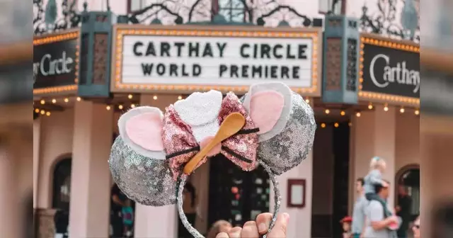 serre-tete-ratatouille