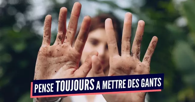 JARDINAGE ENCEINTE (1)