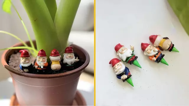 MINI-GNOMES-PLANTES