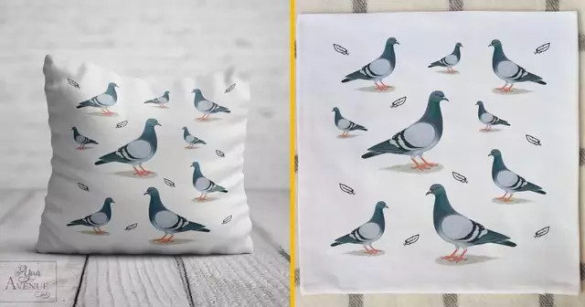 coussin-pigeons