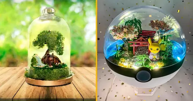 UNE_SHOPPING_TERRARIUM_ORIGINAUX