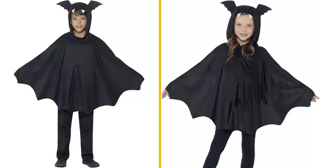 deguisement-chauve-souris