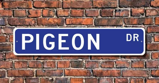 plaque-decorative-rue-pigeon