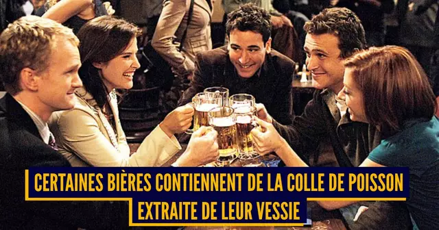 ANIMAUX MORTS INSOLITE