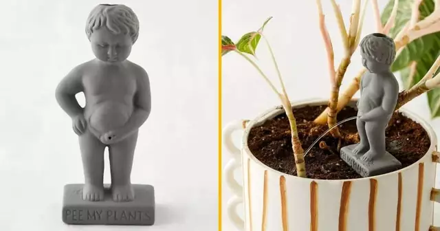 petit-bonhomme-pipi-plantes-arroser