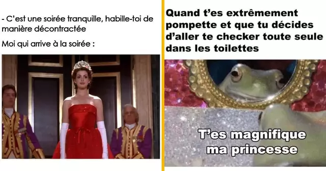 top memes princesse
