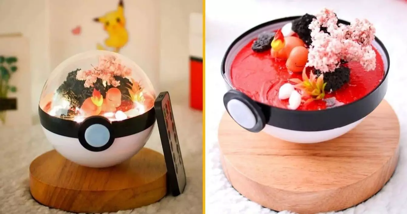 terrarium-salamechee-kawaii