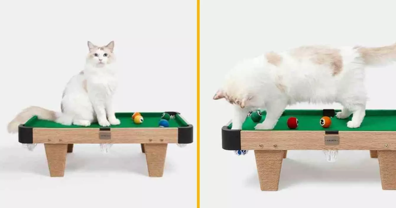 billard-miniature-chat