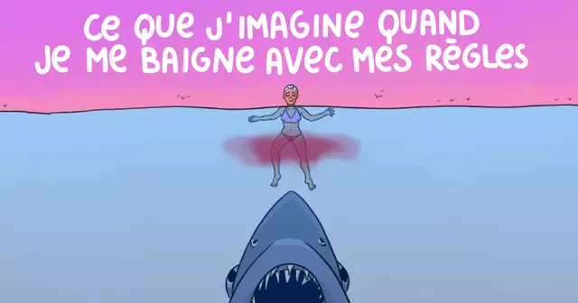une_redac_requin