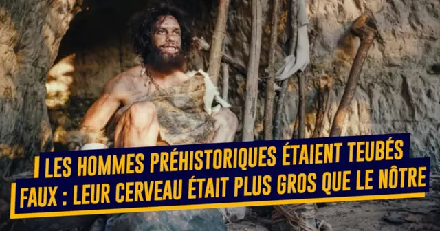PREHISTORIQUE