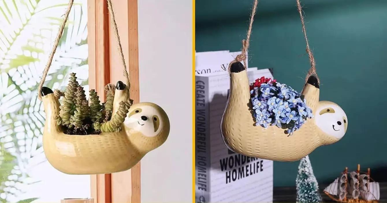 pot-de-fleurs-paresseux