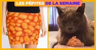 UNE-PEPITE-SEMAINE-48