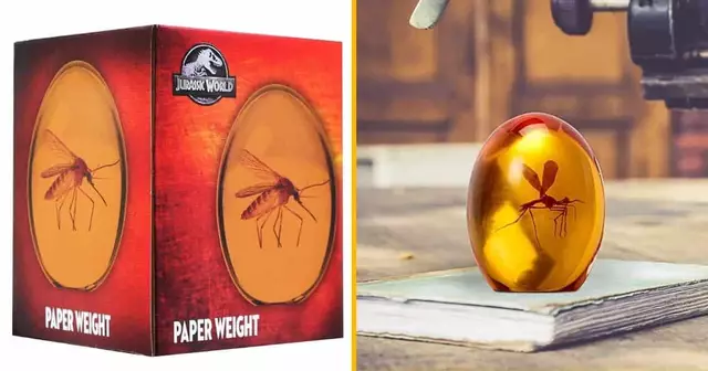 fossile-resine-ambre