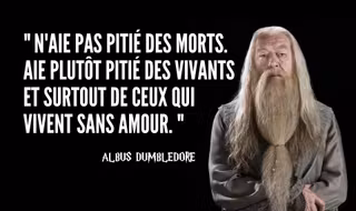 une-dumbledore (1)