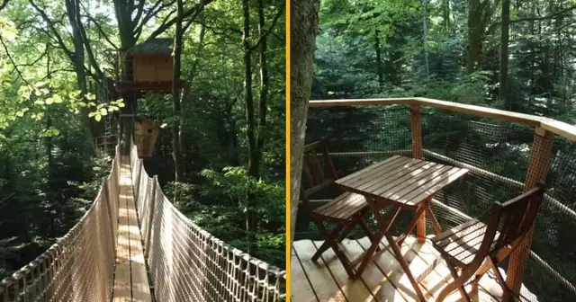 cabane-arbres-bretagne-deux-personnes