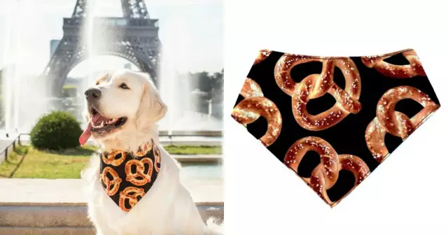 bandana-chien-bretzel