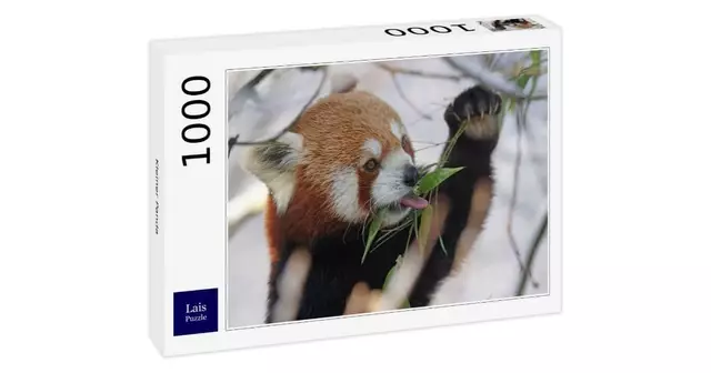 puzzle-petit-panda-roux-1000-pieces