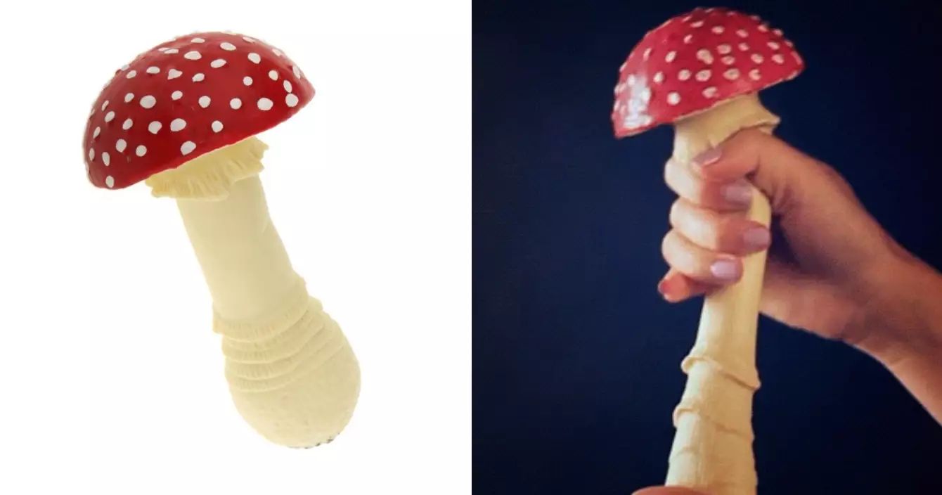 champignon-anti-stress