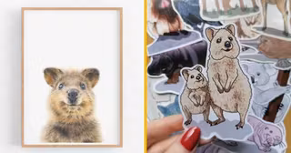 UNE_SHOPPING_CADEAU_ANIMAL_QUOKKA