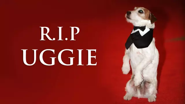 une-rip-uggie