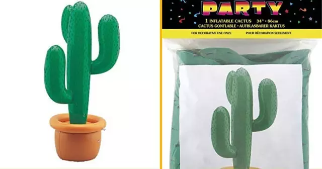 cactus-gonflable