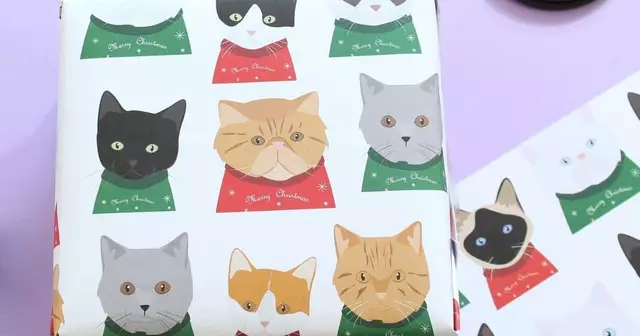 papier-cadeau-chats