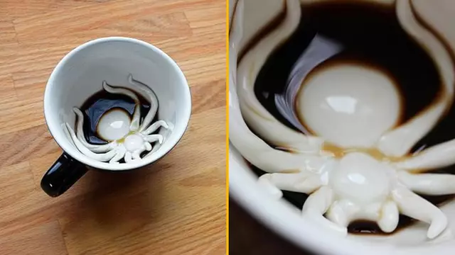 tasse-araignee-fond-surprise