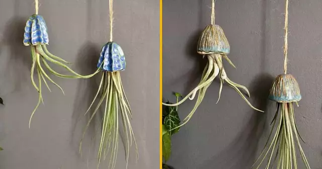 cache-pot-transforme-plante-meduse