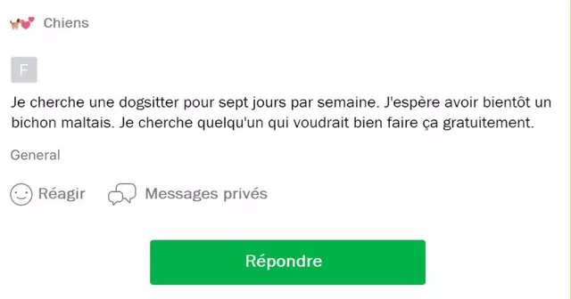 ProprietairesChiensAbusent