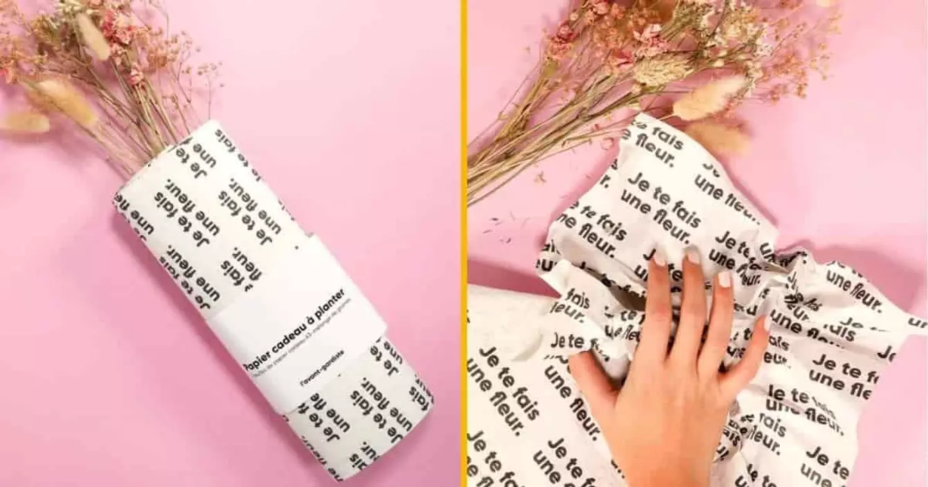 emballage-cadeau-planter-graines-fleurs