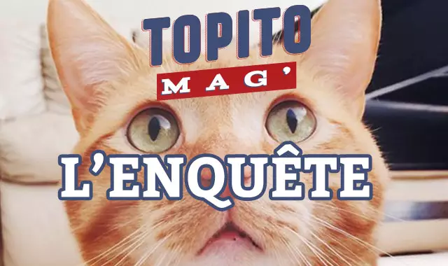 une_topito_mag (1)