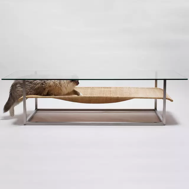 144524725530396449_ab6641075db2