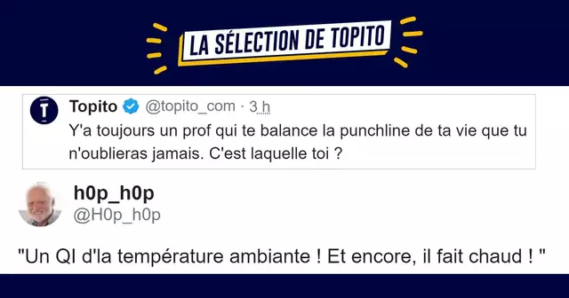 top punchlines profs