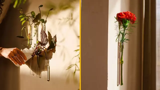 SETIFLORES-MAGNETIQUES-FLEURS