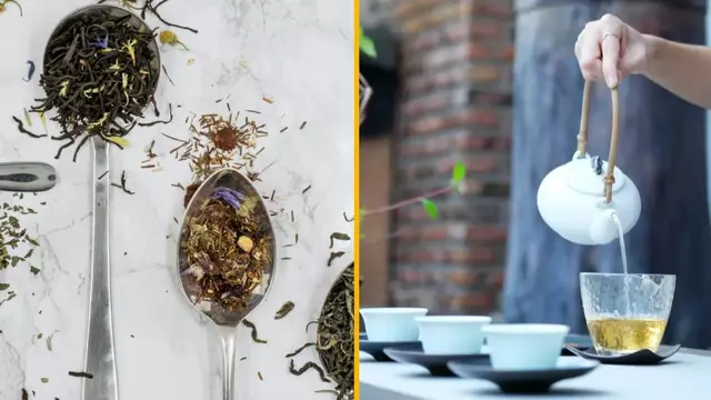 DEGUSTATION-THE?-INFUSION