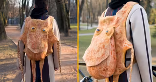 sac-dos-octopus-mollusque