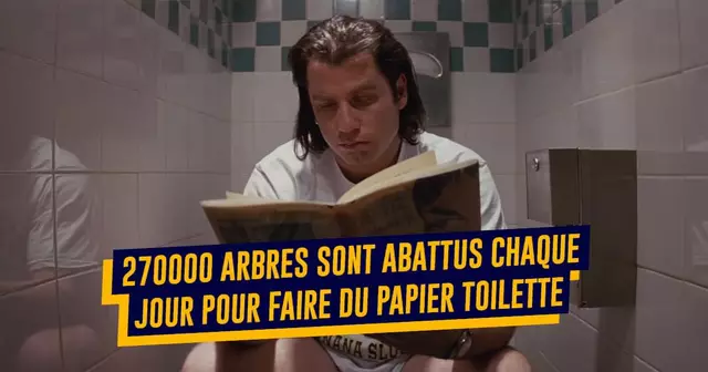 TOP papier toilette