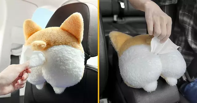 boite-mouchoirs-cul-corgi