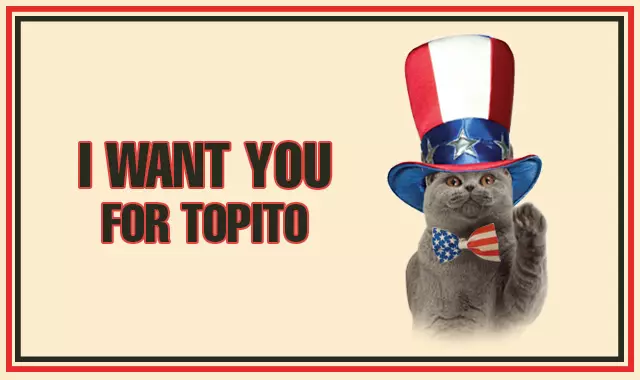 i-want-you-cat-slider