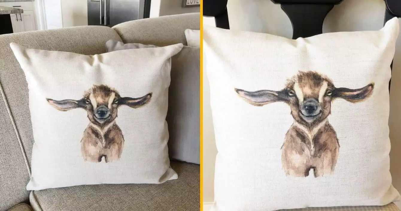 coussin-petite-chevre