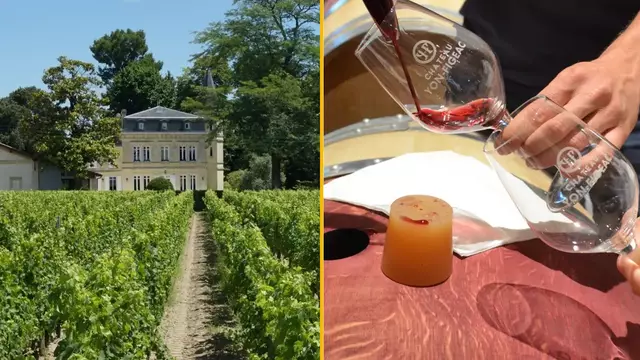 CHATEAU-BORDEAU-VIN